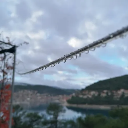 Zenpunta * פוצ'ישצ'ה