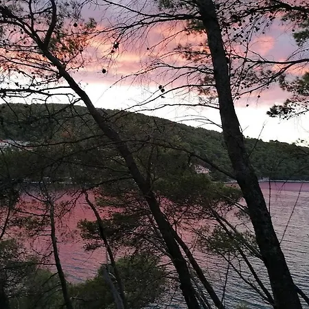 Apartment Zenpunta *