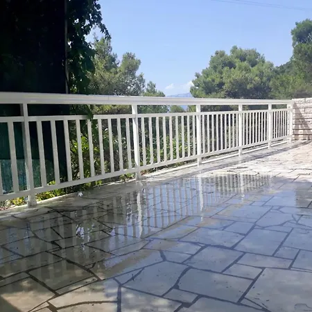 Zenpunta * 푸치스차